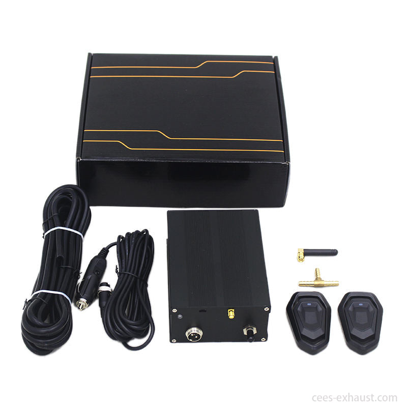 Exhaust System Valve Controller (Electronic / Vacuum)